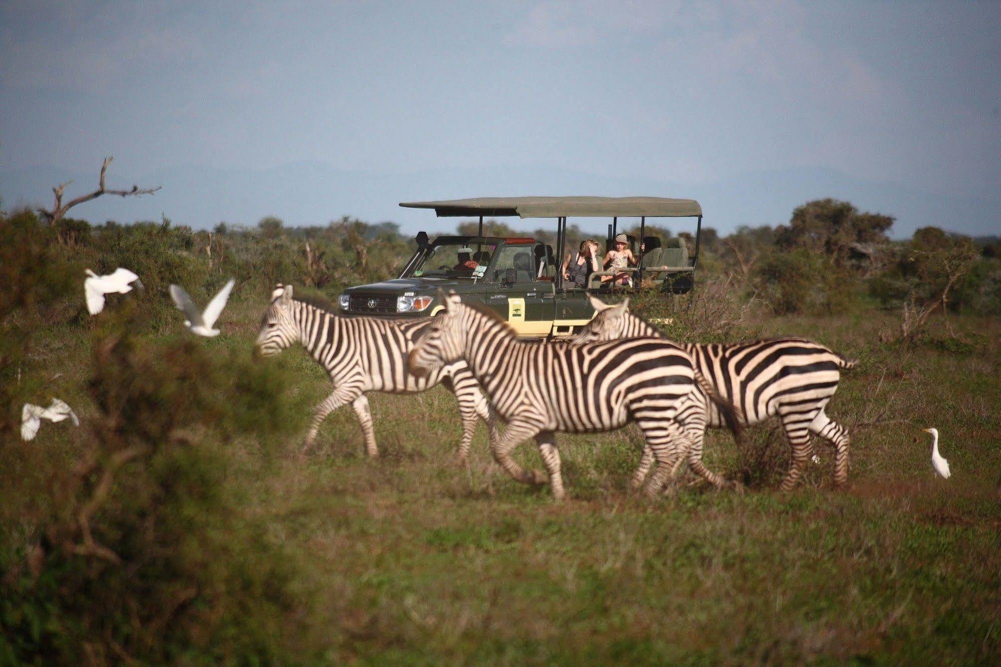 Elewana Tortilis Camp Hotel Amboseli Exterior foto